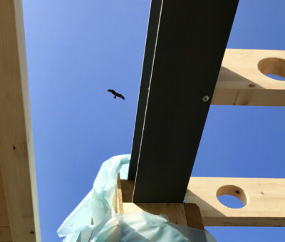 Blick von unten auf ein Holzbohlen-Gerüst vor blauem Himmel, ein Vogel fliegt vorbei